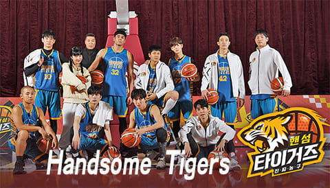 Handsome Tigers